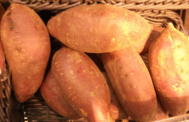 安納芋のカロリーは？育て方は普通のサツマイモとどう違うの？