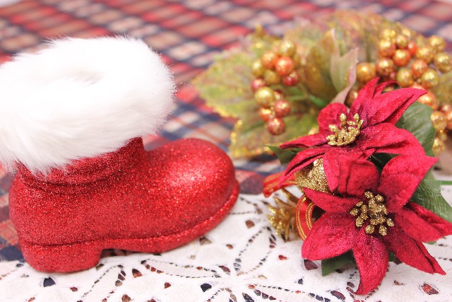 ポインセチアの赤の花言葉は？どうしてクリスマスに用いられるの？